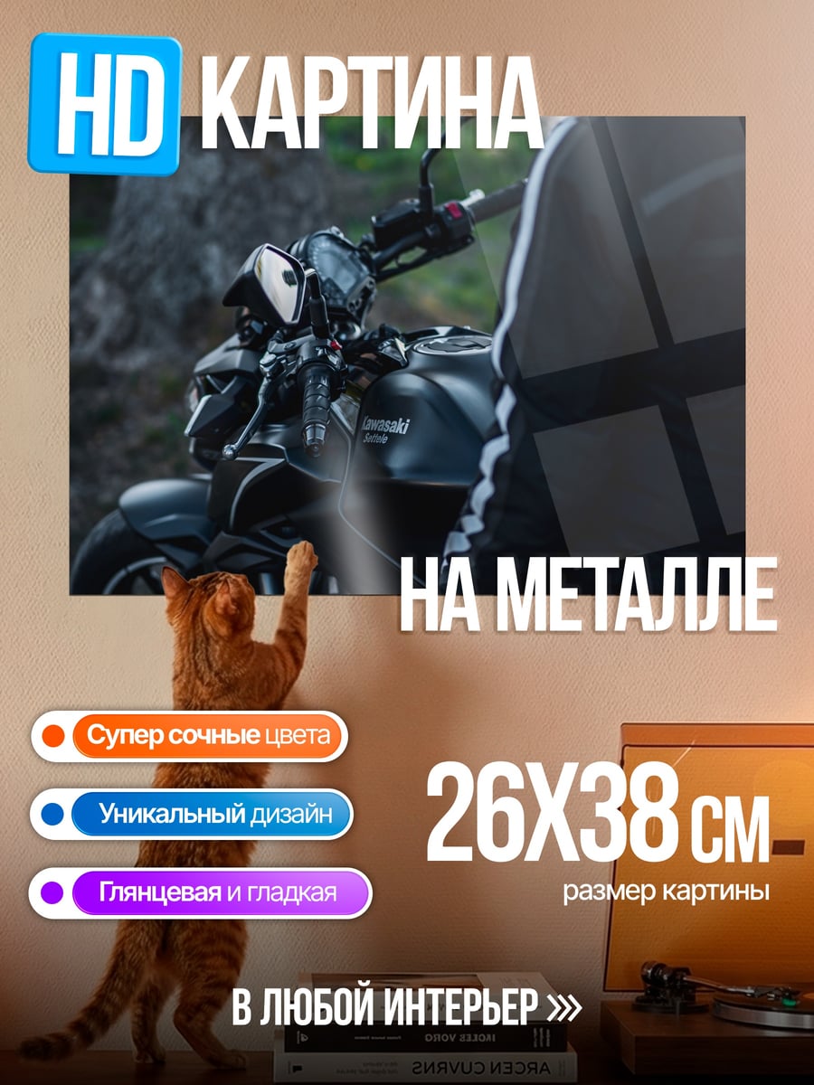 Картина на металле Мотоциклист