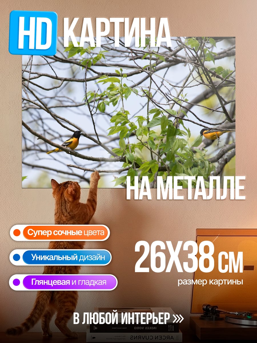Картина на металле Птицы на ветках
