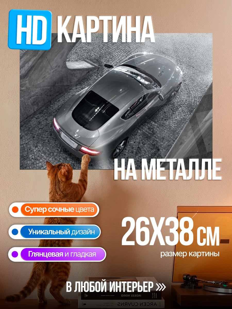 Картина на металле Спортивное купе