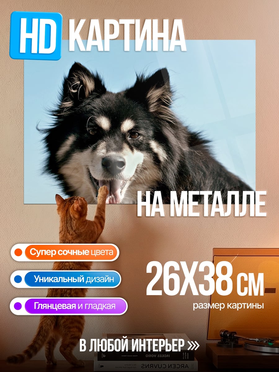 Картина на металле Счастливый пес