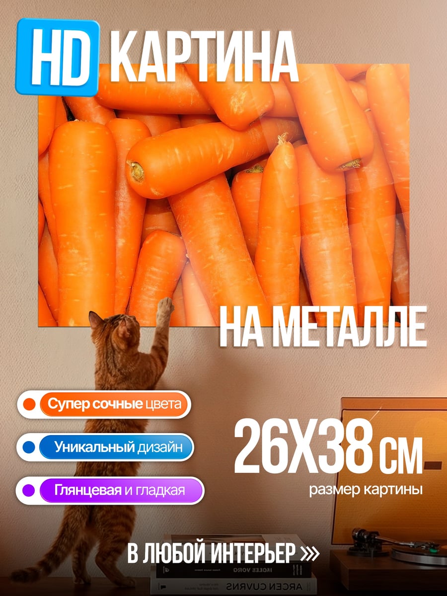 Картина на металле Морковь крупным планом