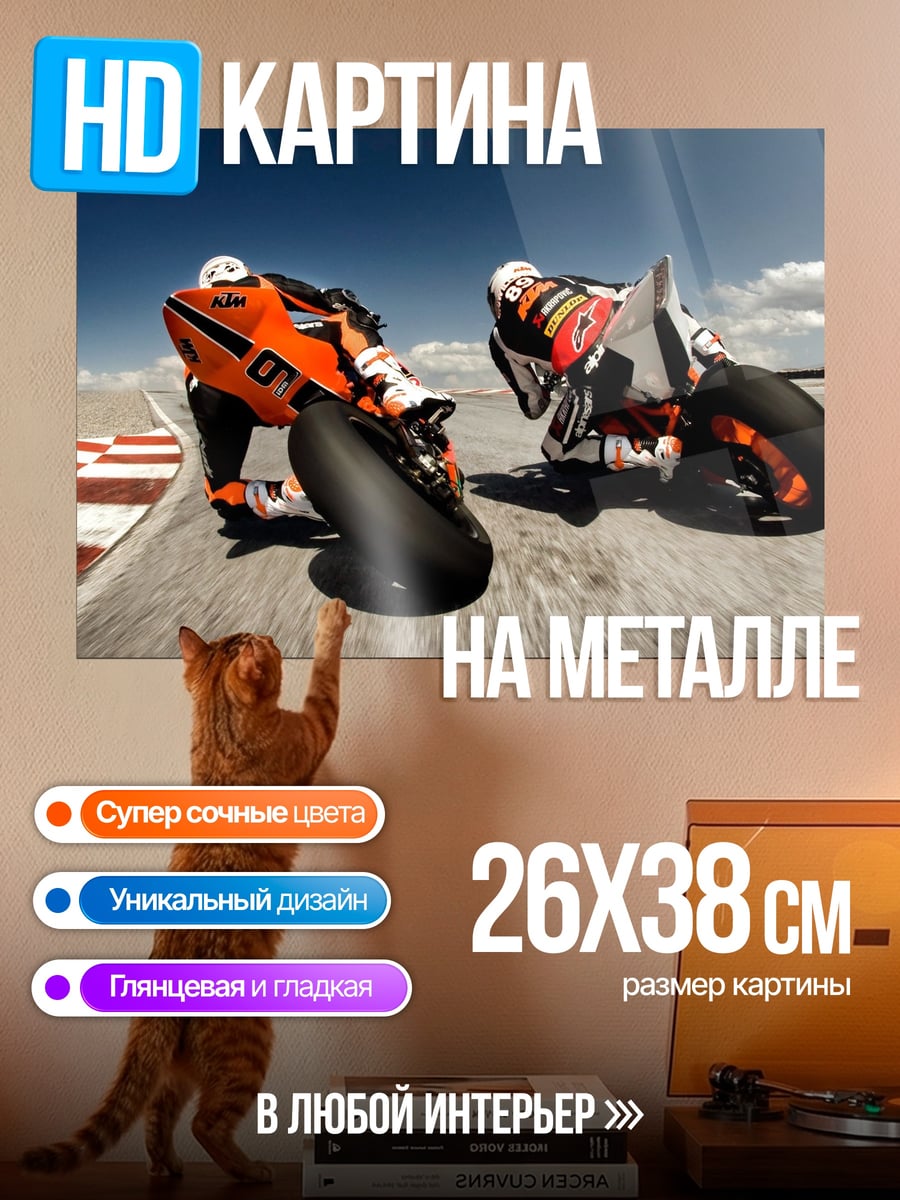 Картина на металле Гонщики на треке