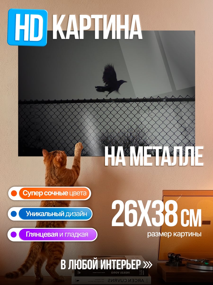 Картина на металле Ворон над забором