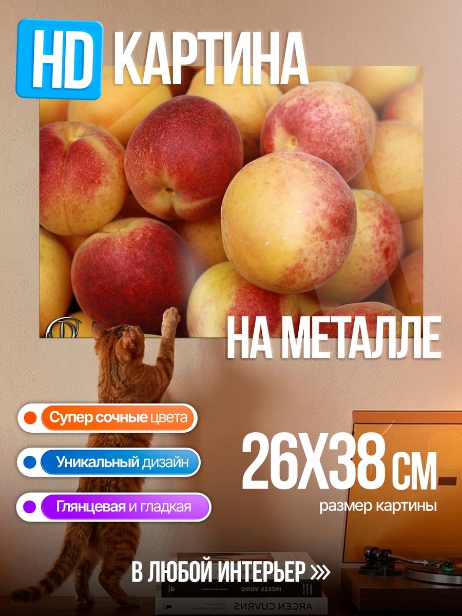 Картина на металле Абрикосы на ветке