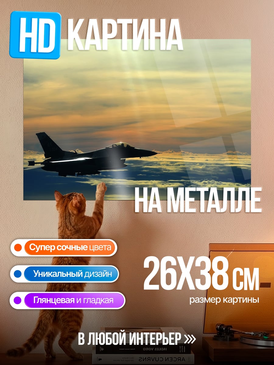 Картина на металле Истребитель в небе