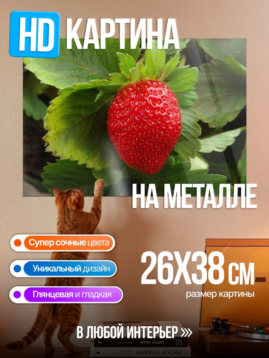 Картина на металле Клубника на кусте