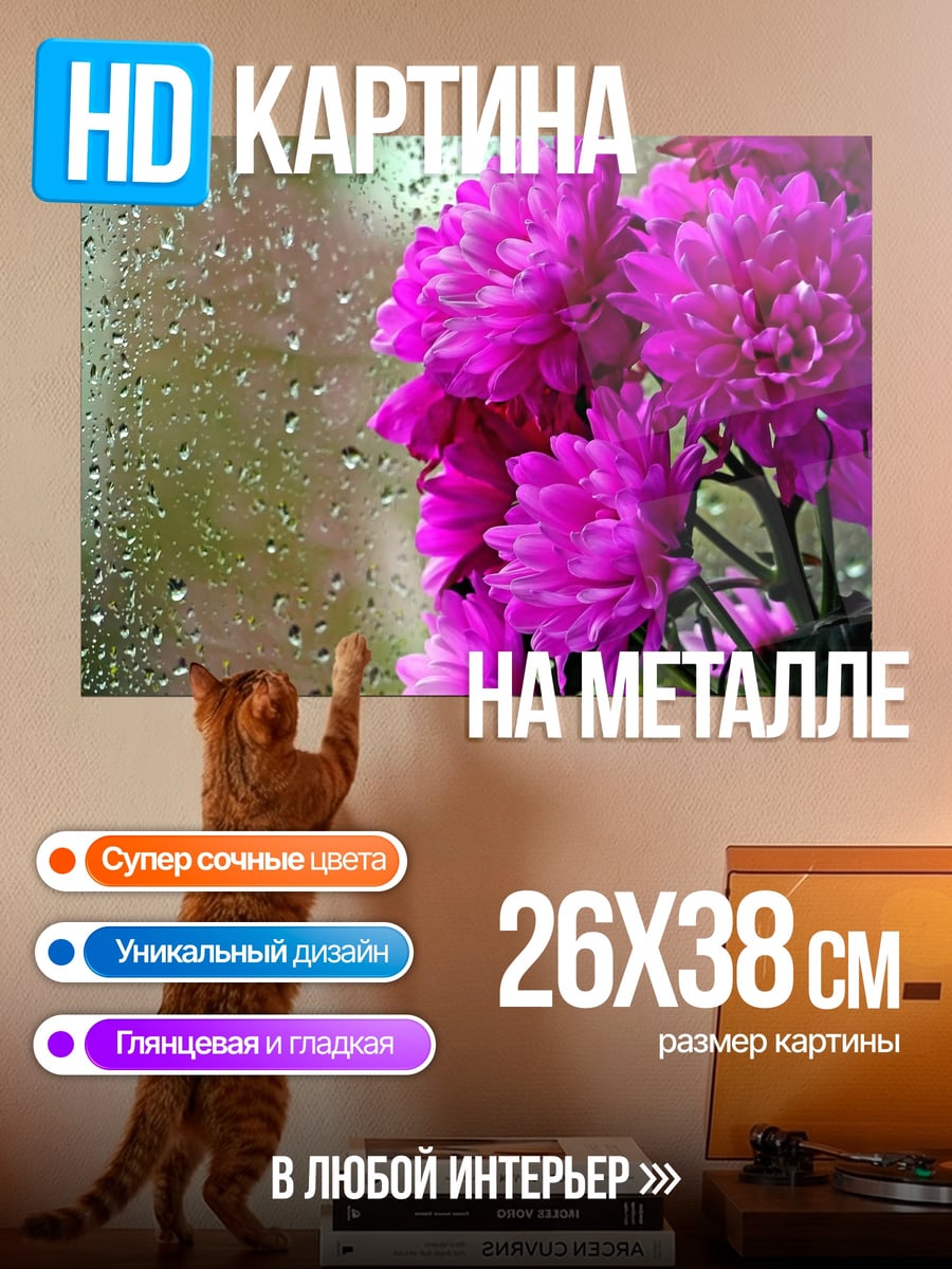 Картина на металле розовые хризантемы в каплях