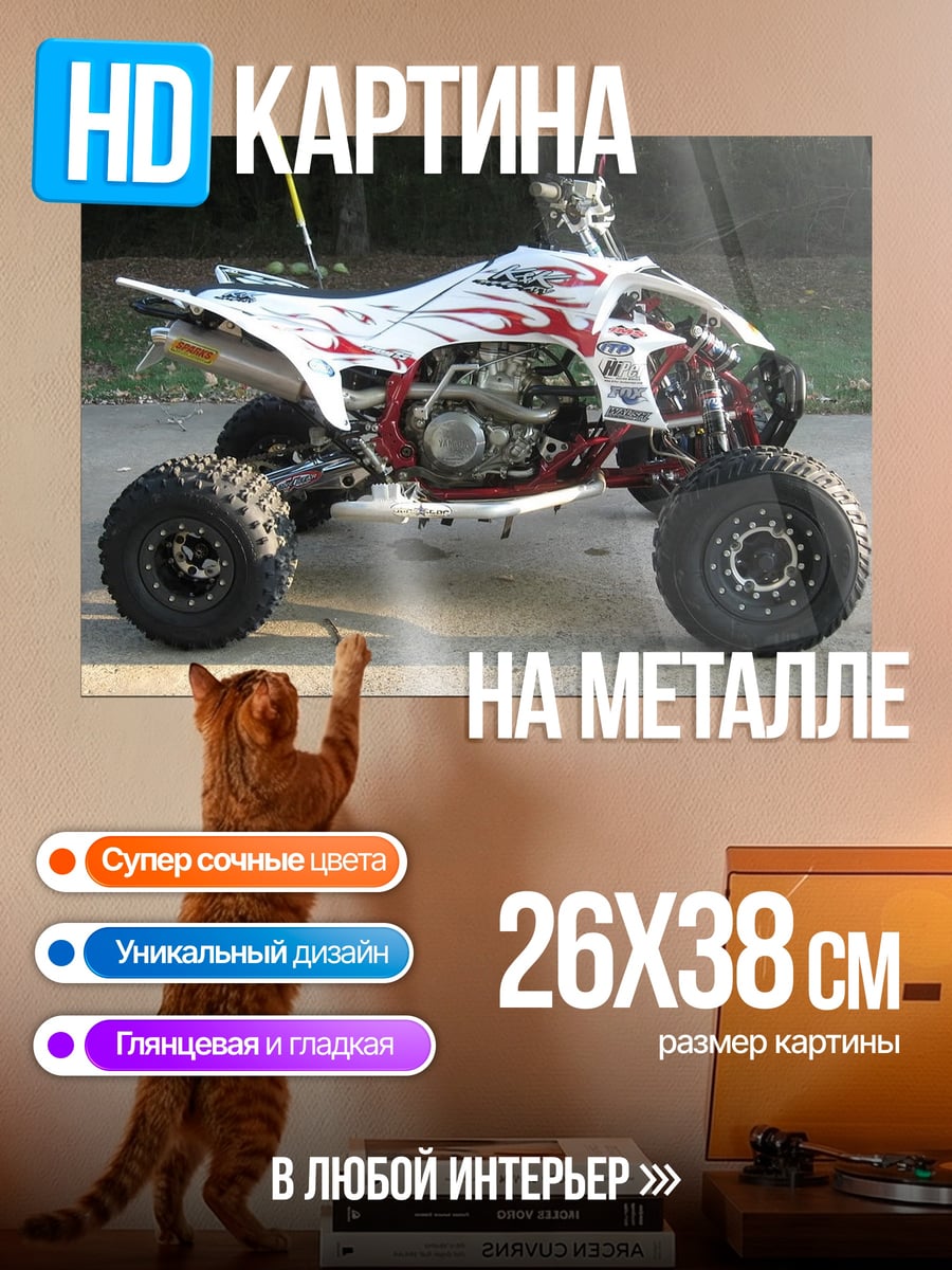 Картина на металле белый квадроцикл