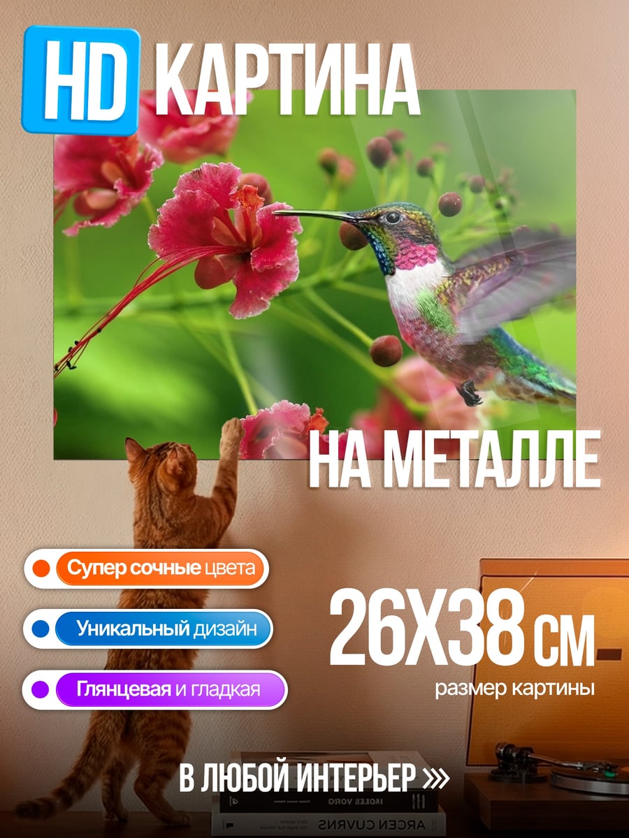 Картина на металле Колибри у цветов