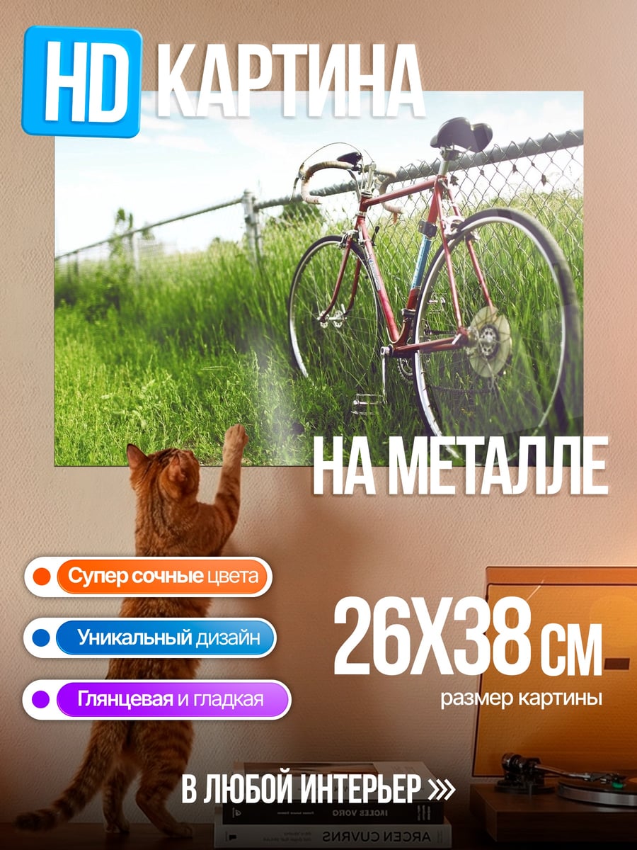 Картина на металле Велосипед у забора