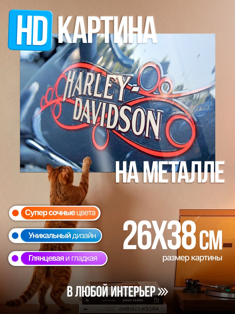 Картина на металле логотип Harley Davidson