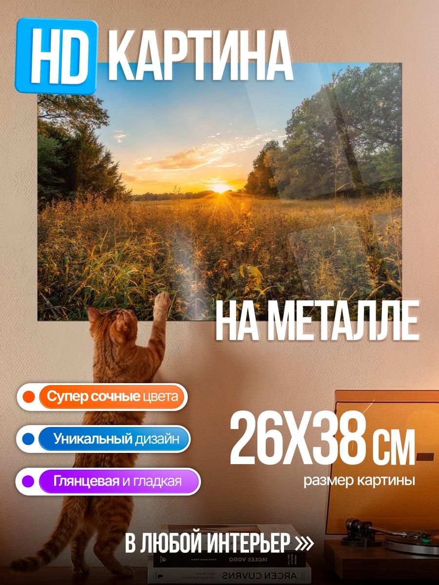 Картина на металле Закат в поле
