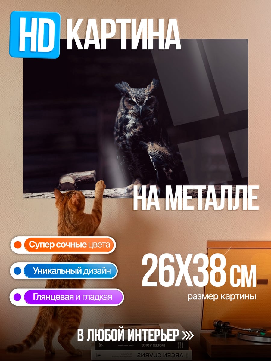 Картина на металле Ночная сова