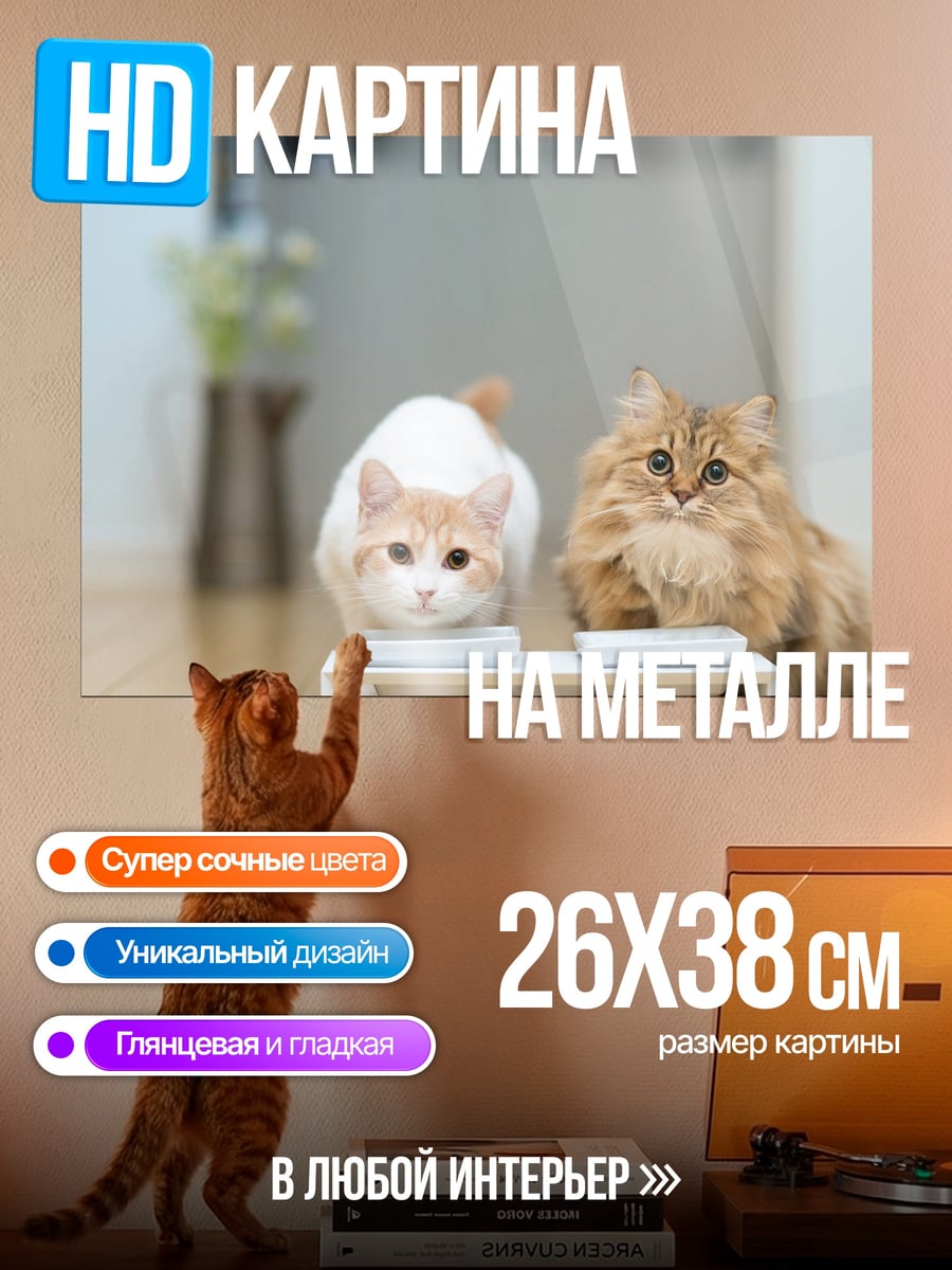 Картина на металле два котенка