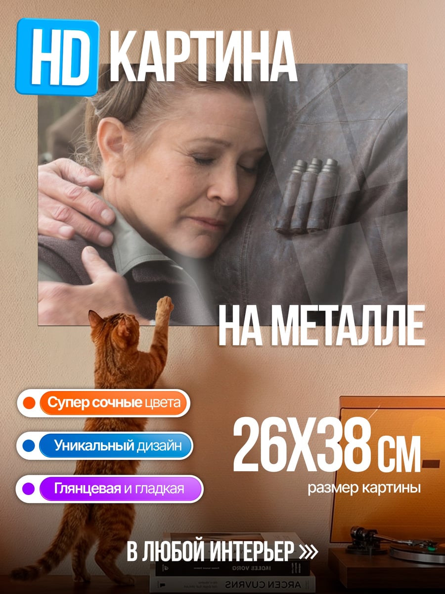 Картина на металле Хан Соло Лея