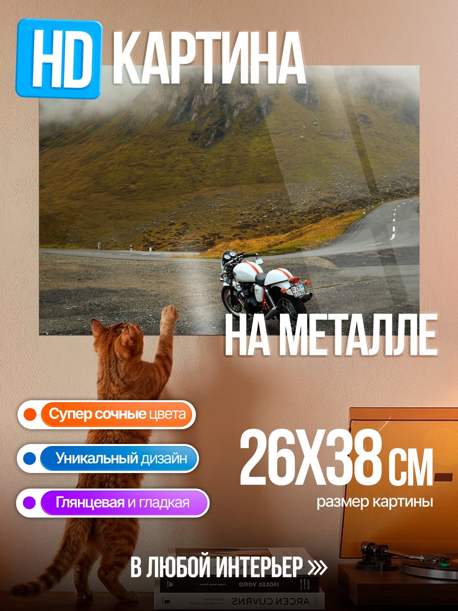 Картина на металле мотоцикл в горах