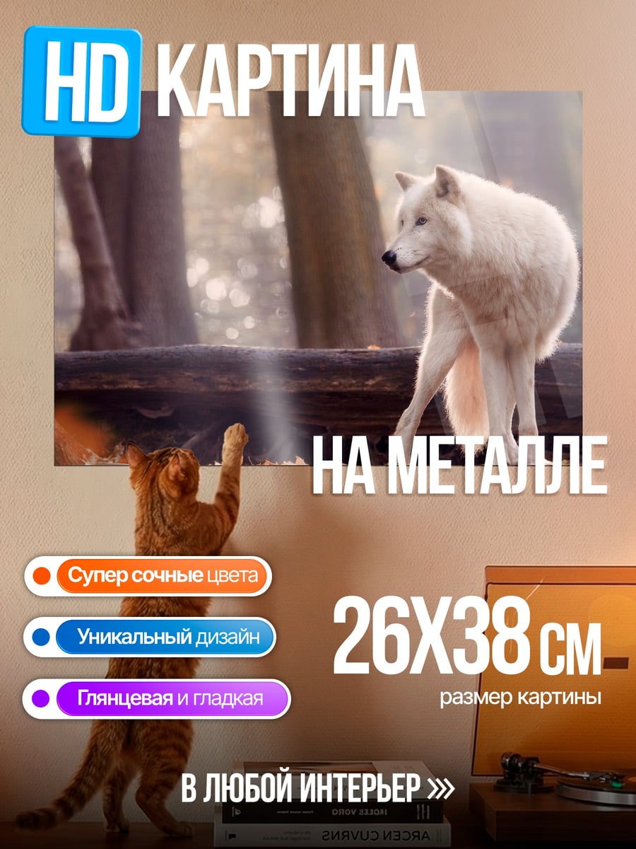Картина на металле белый волк в лесу