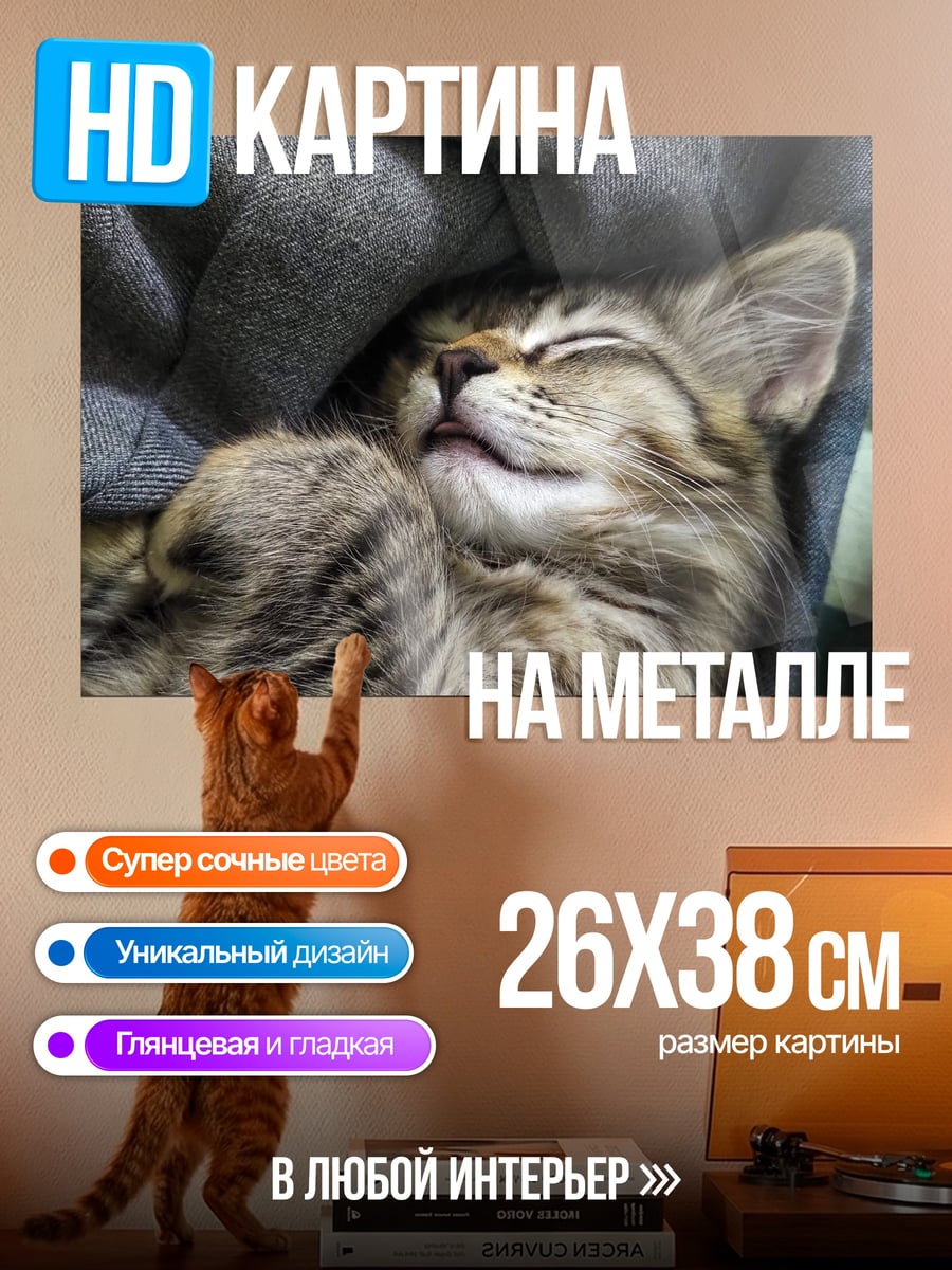 Картина на металле Спящий котенок