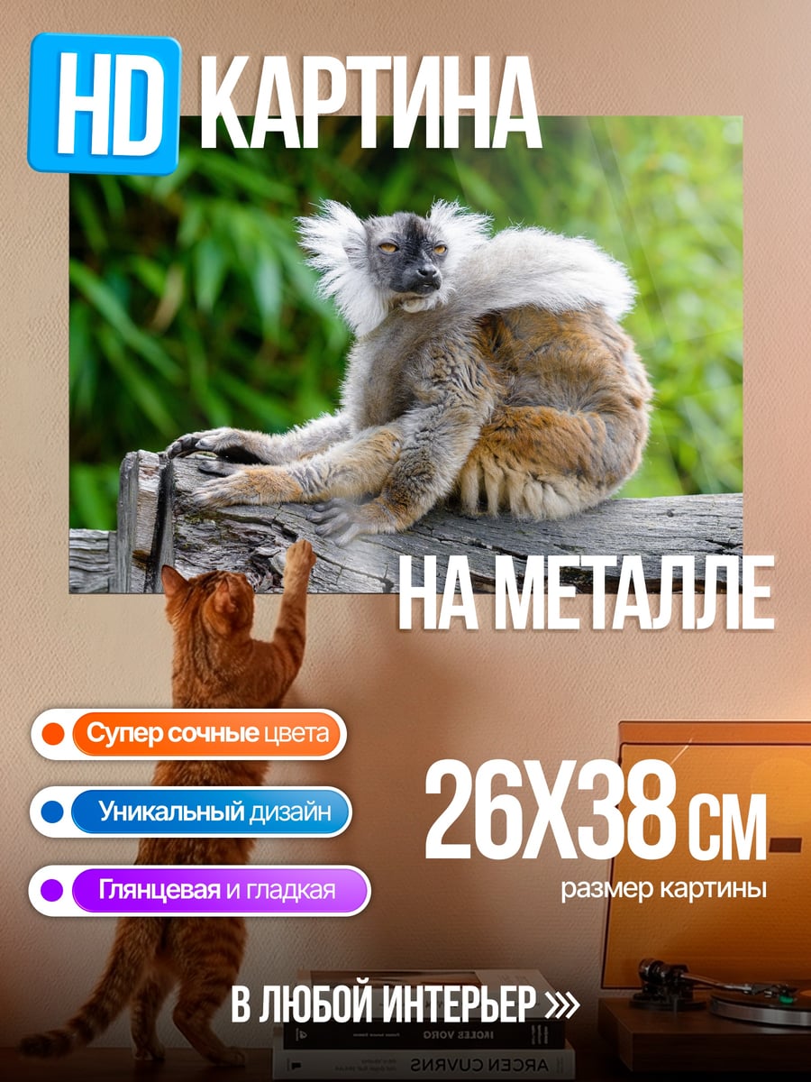 Картина на металле Лемур на бревне