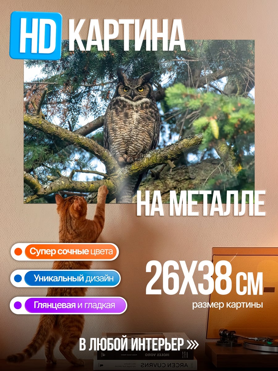 Картина на металле филин на ветке
