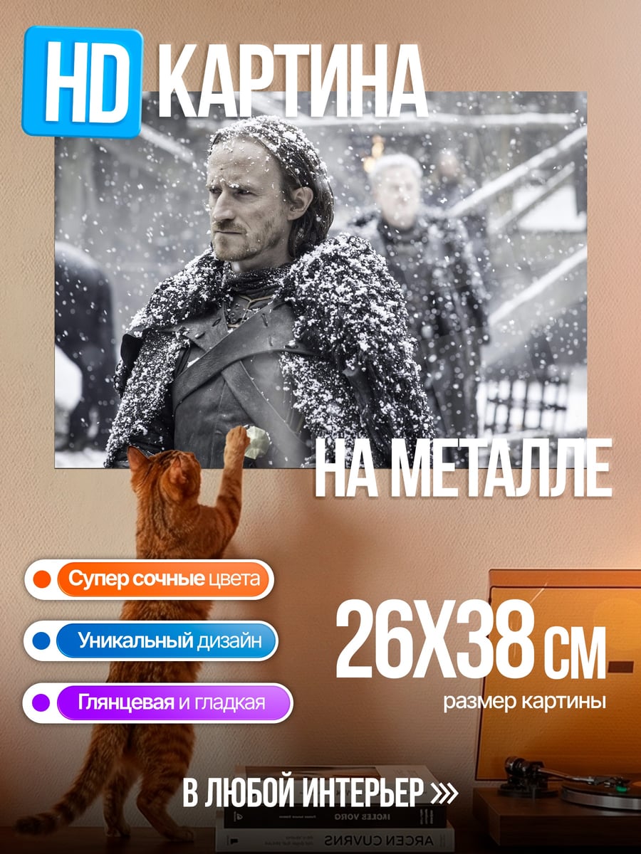 Картина на металле Воин Севера