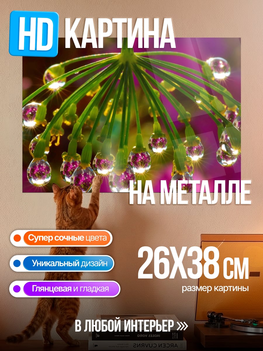 Картина на металле Роса на укропе