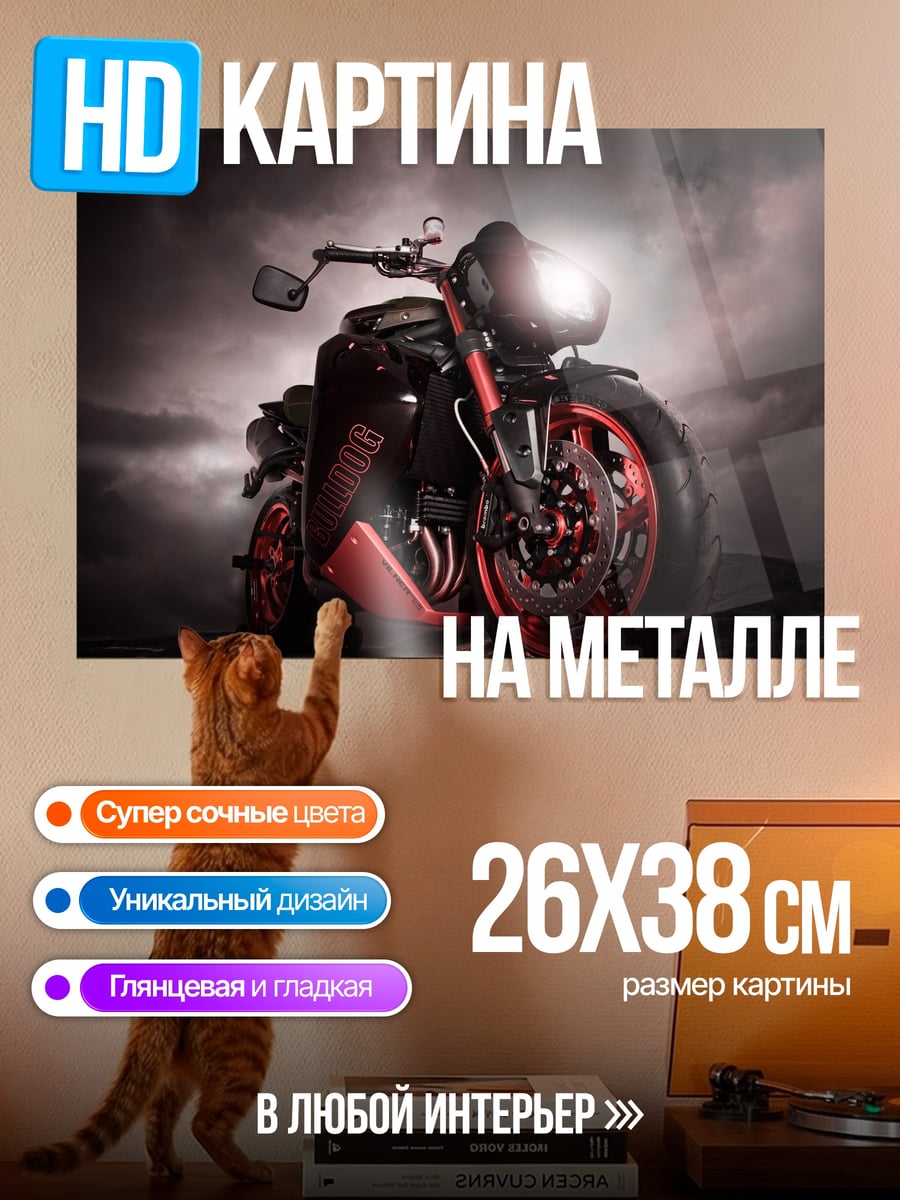 Картина на металле Мотоцикл в дыму