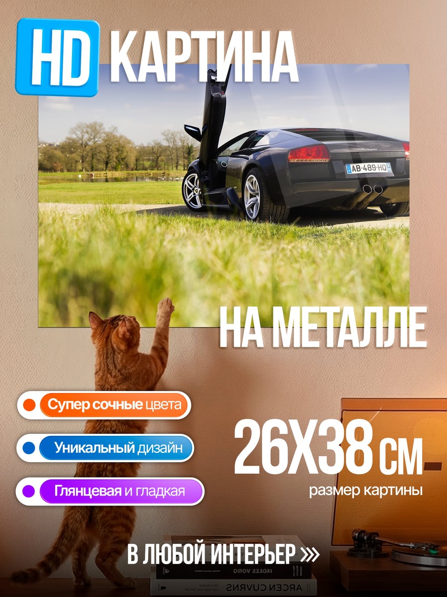 Картина на металле Черный спорткар