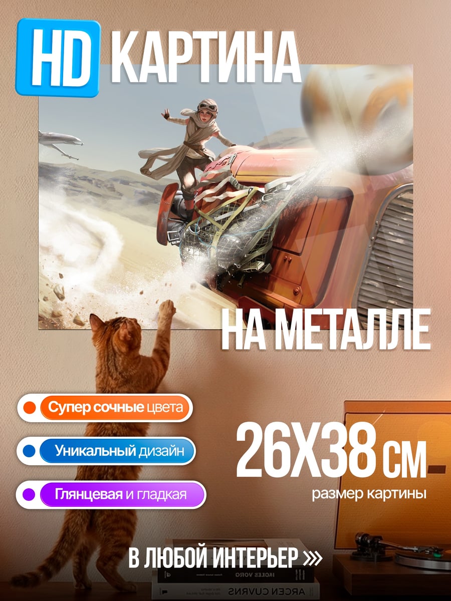 Картина на металле Рей и BB-8