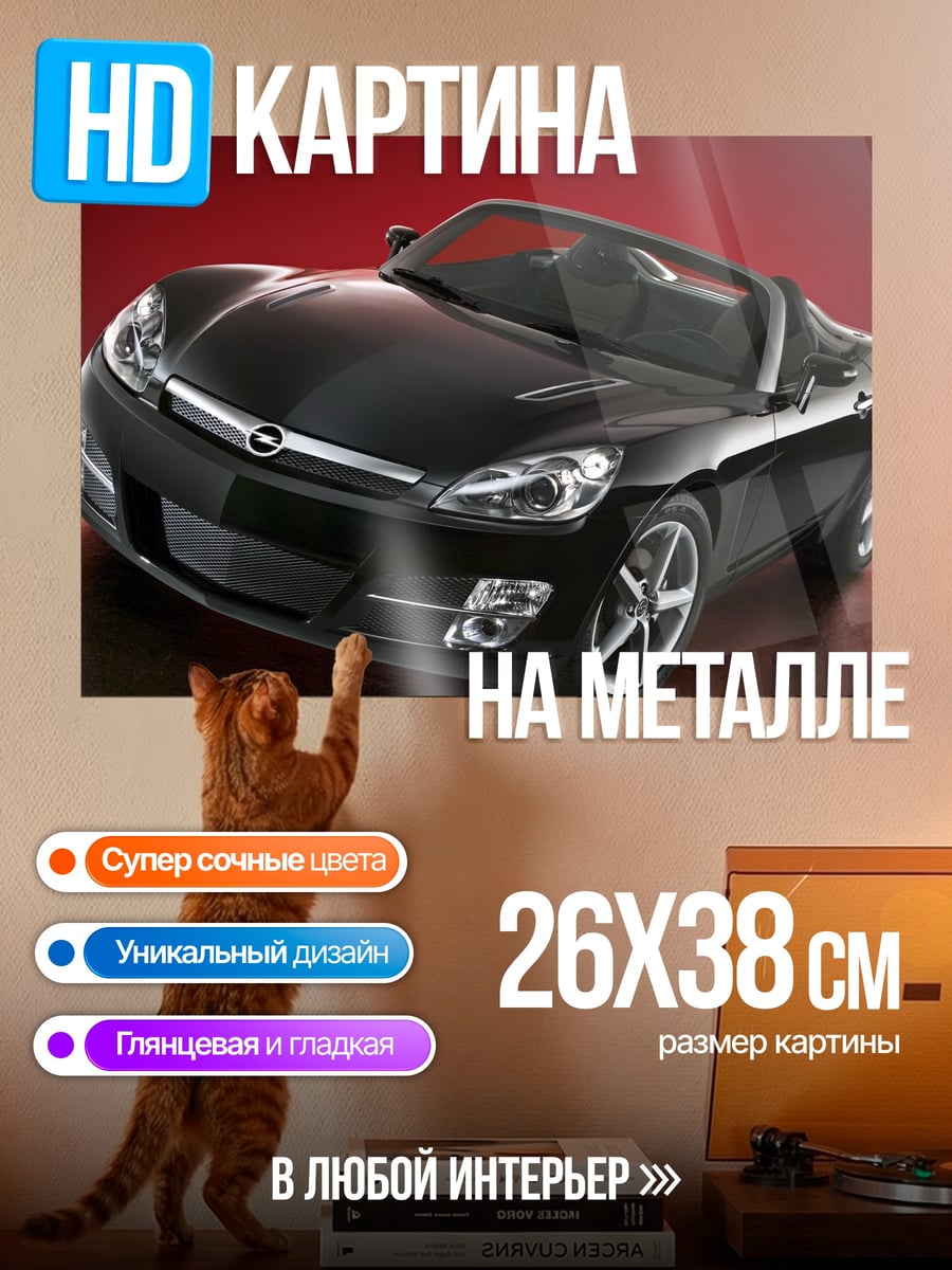 Картина на металле Черный родстер
