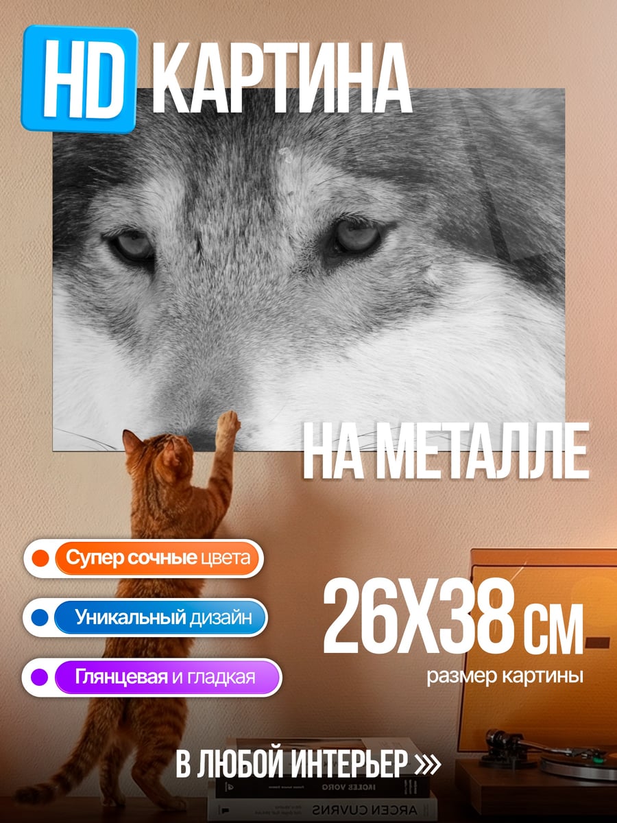 Картина на металле Портрет волка