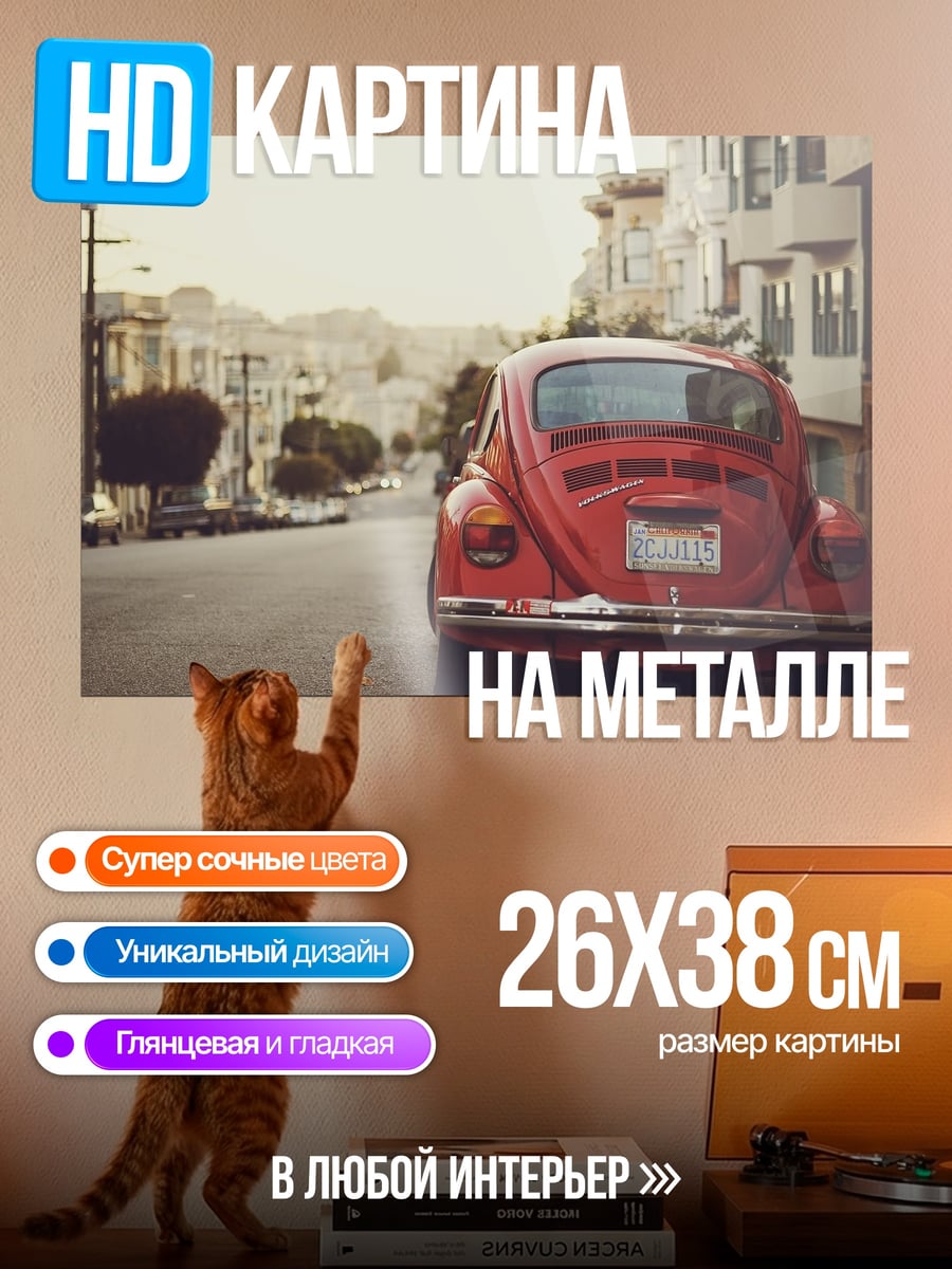 Картина на металле Жук на улице