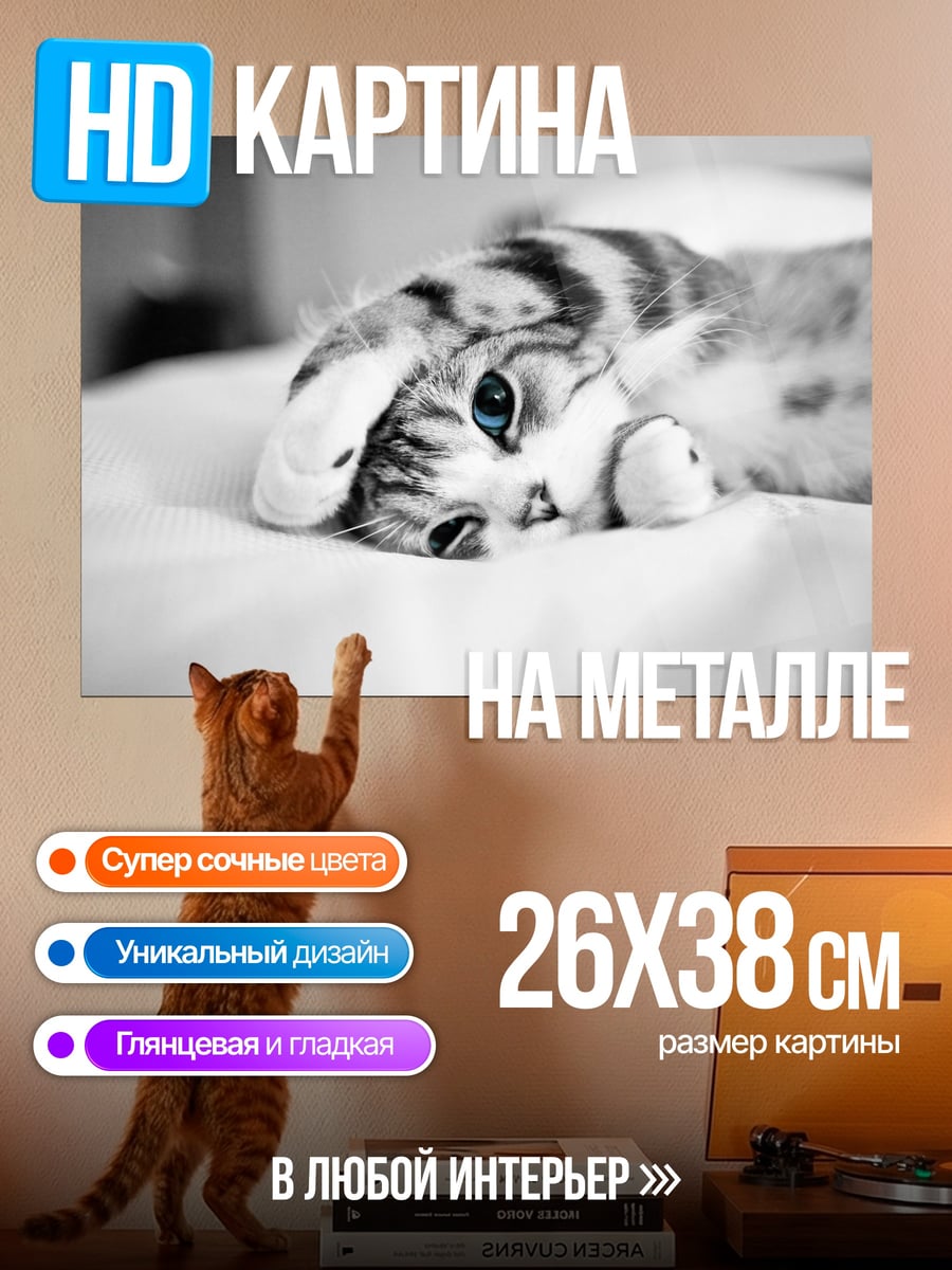 Картина на металле Ленивый кот