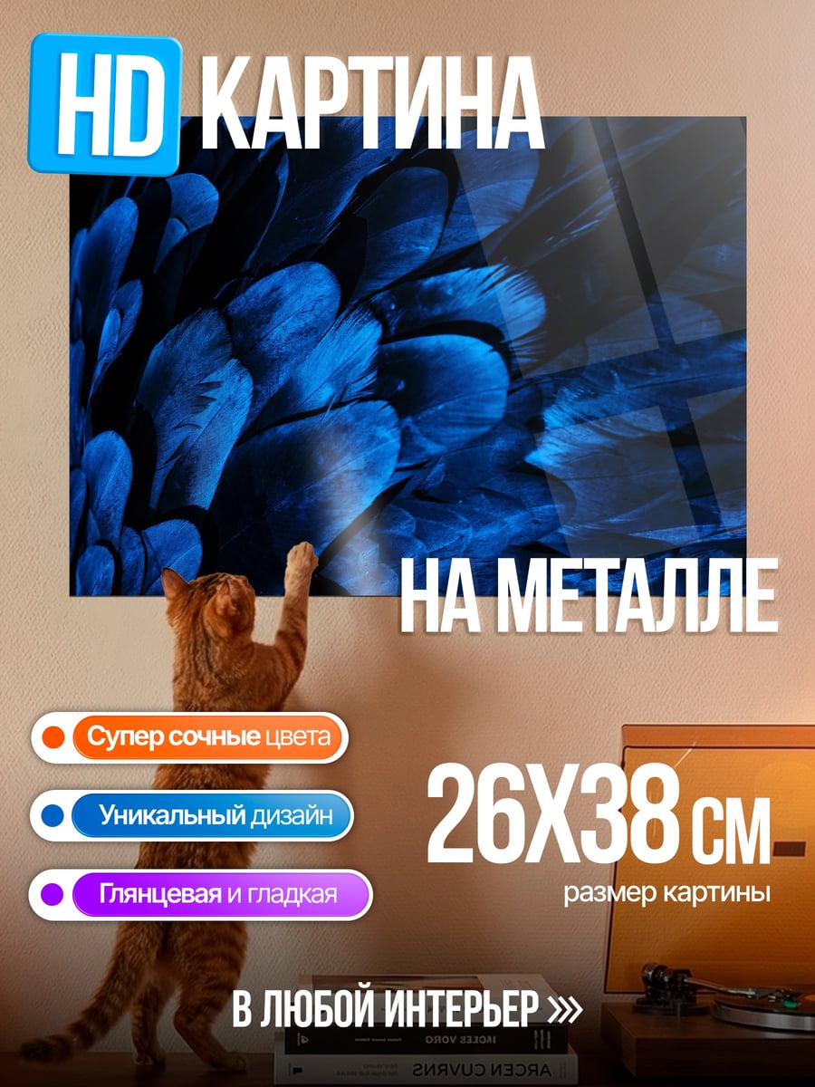 Картина на металле Синие перья
