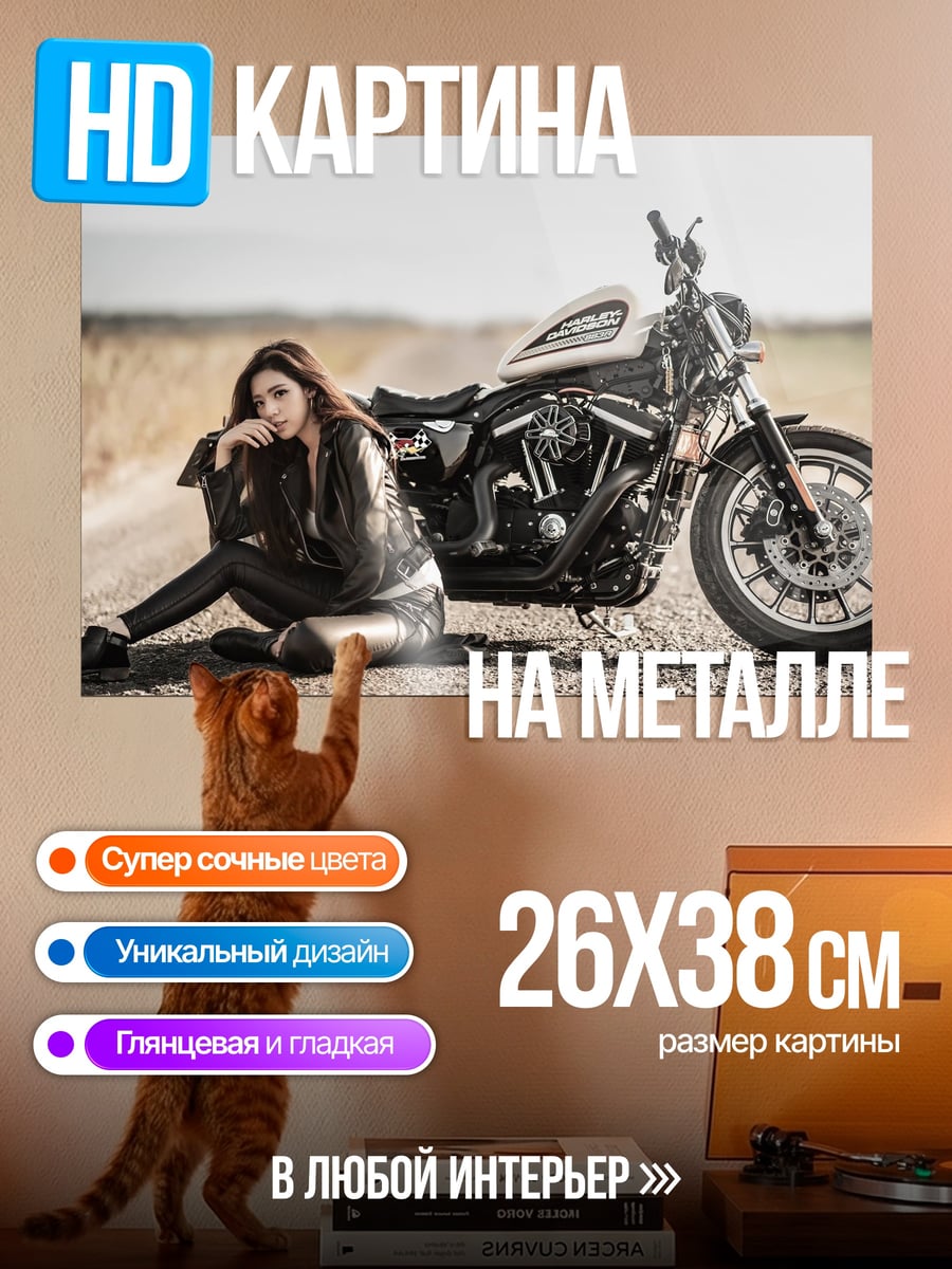 Картина на металле Девушка и мотоцикл