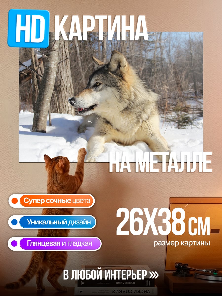 Картина на металле Волк в снегу