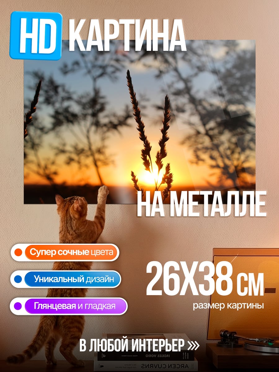 Картина на металле Закат в траве
