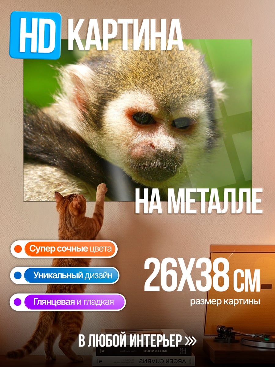 Картина на металле Обезьяна