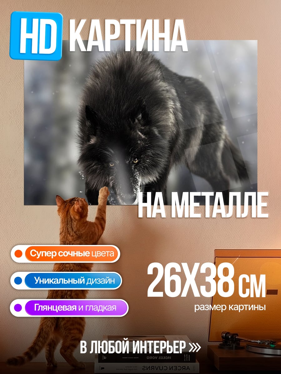 Картина на металле черный волк