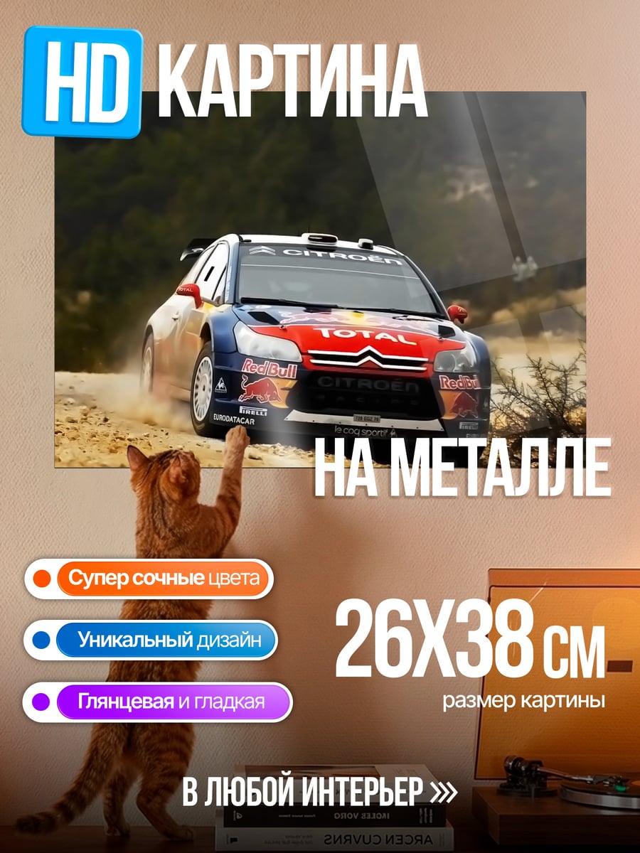 Картина на металле Раллийный автомобиль Citroen
