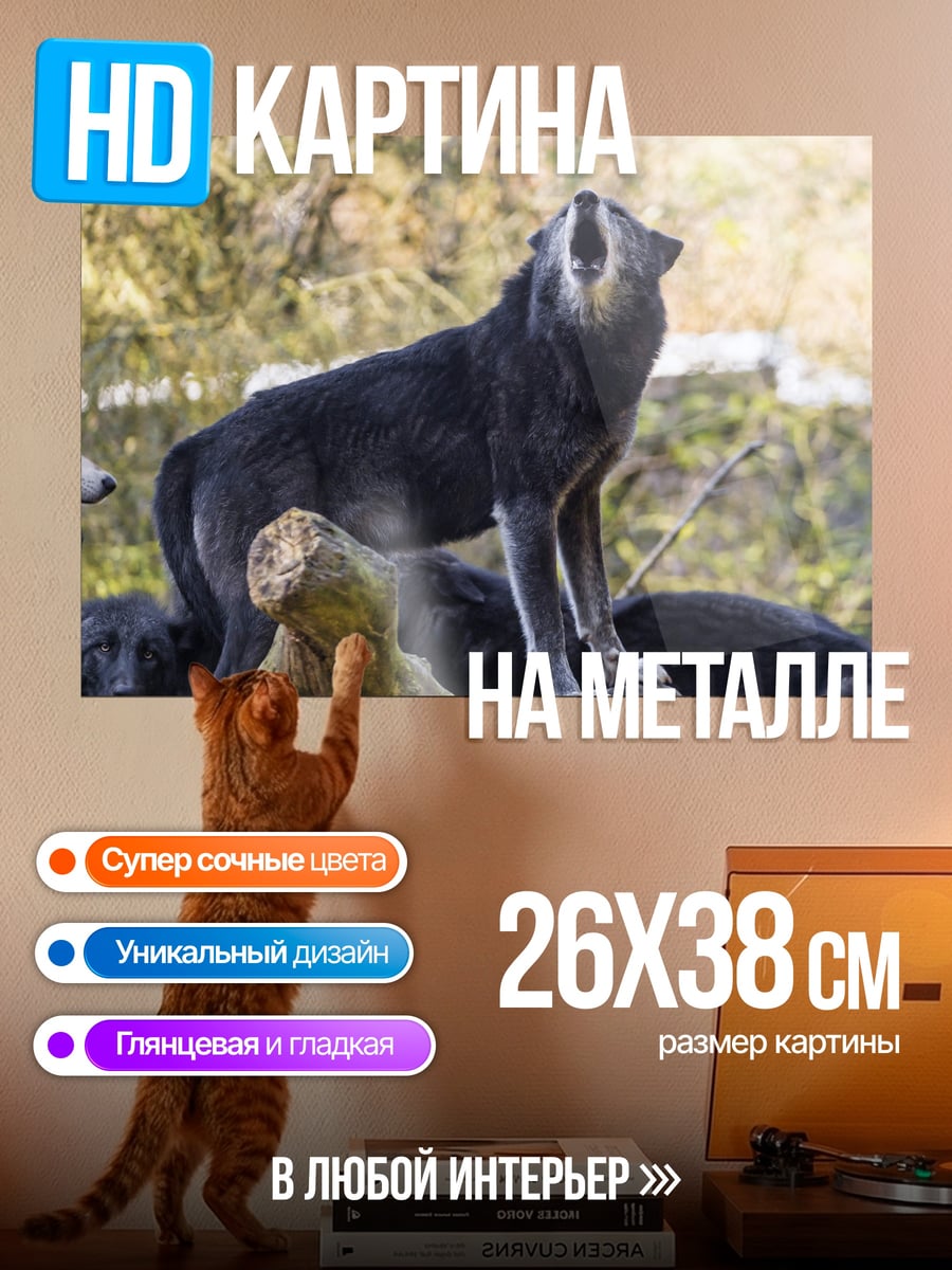 Картина на металле Воющий волк