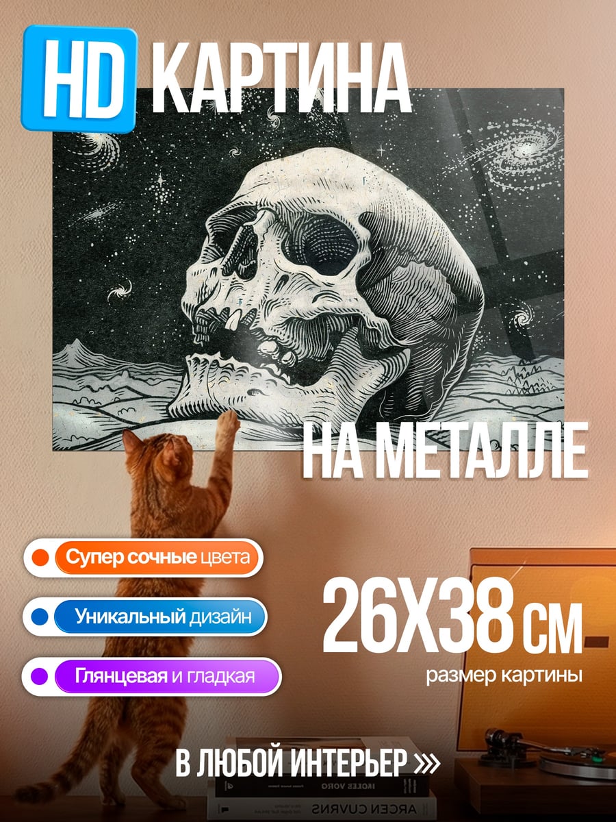 Картина на металле Череп в космосе