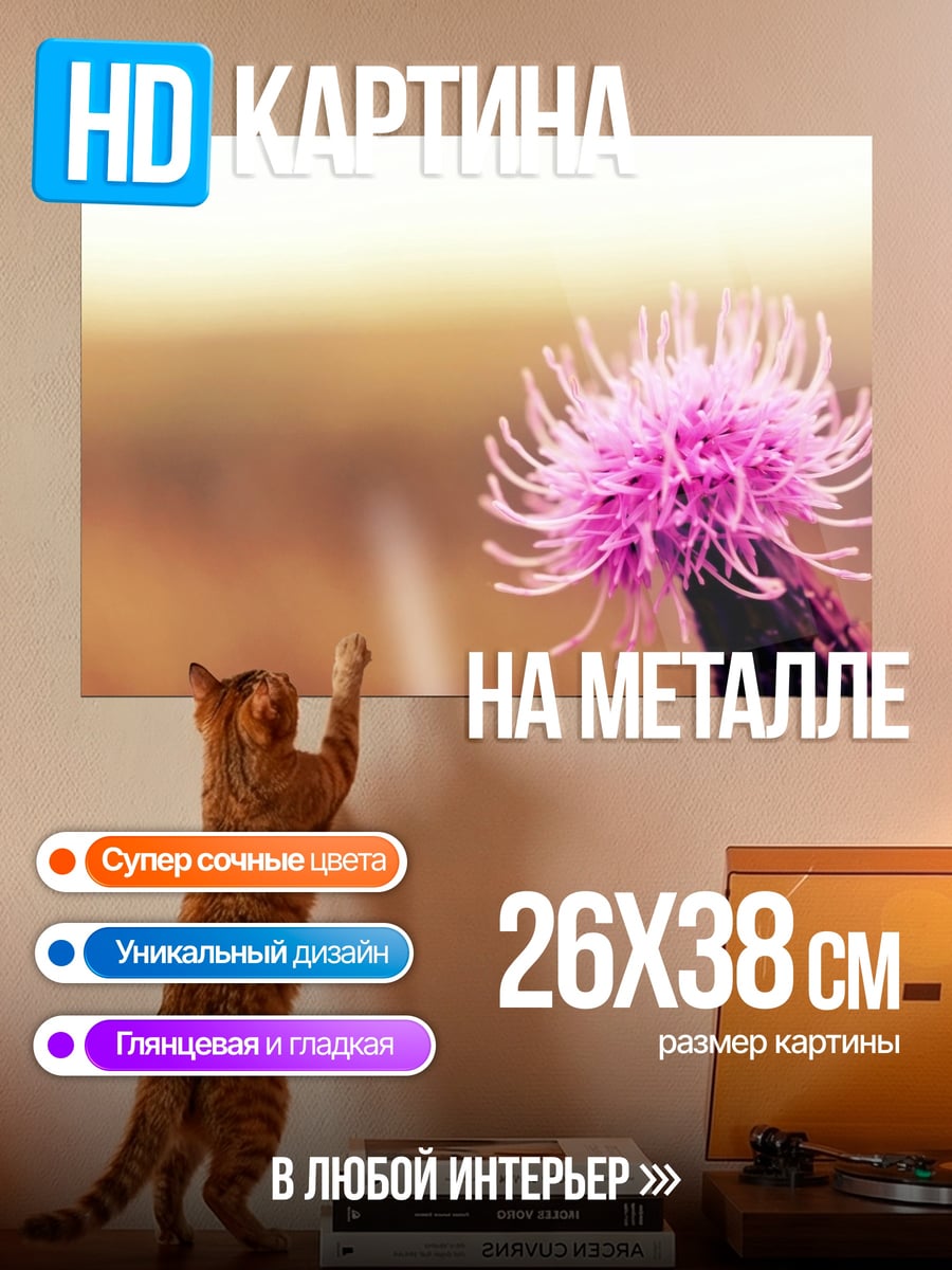 Картина на металле Розовый чертополох
