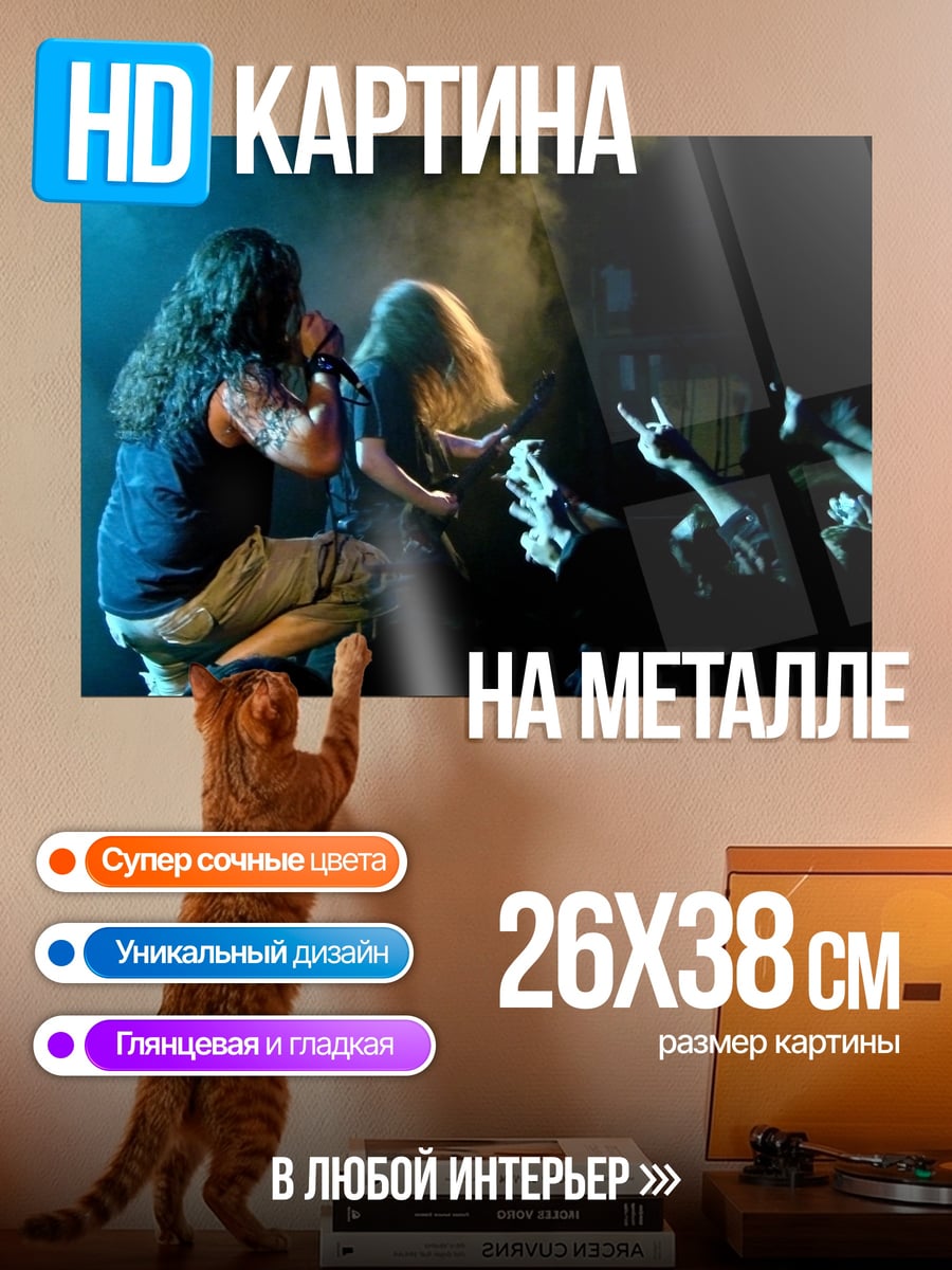 Картина на металле Метал концерт