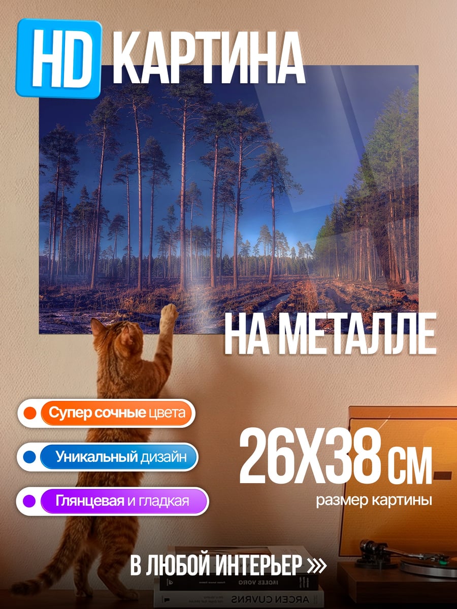 Картина на металле Лесная тропа ночью