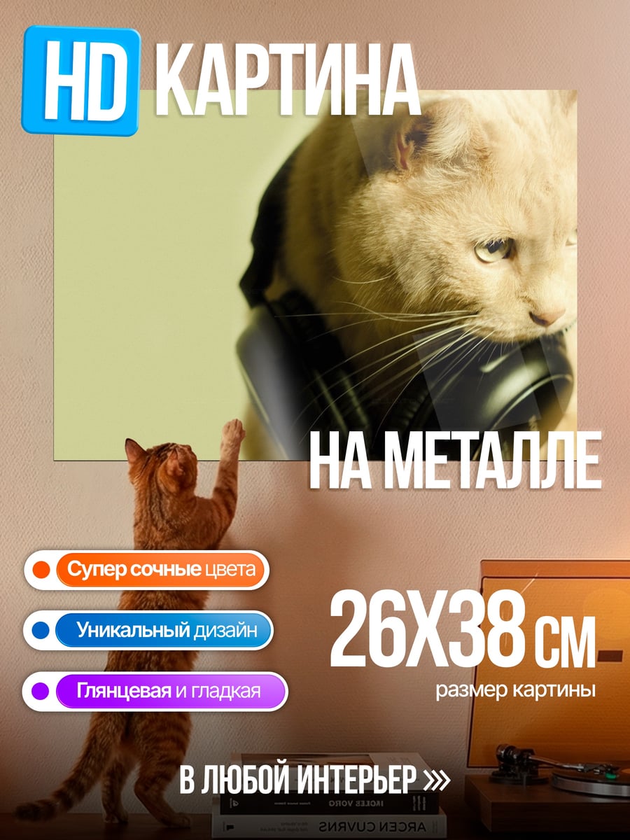 Картина на металле Кот в наушниках