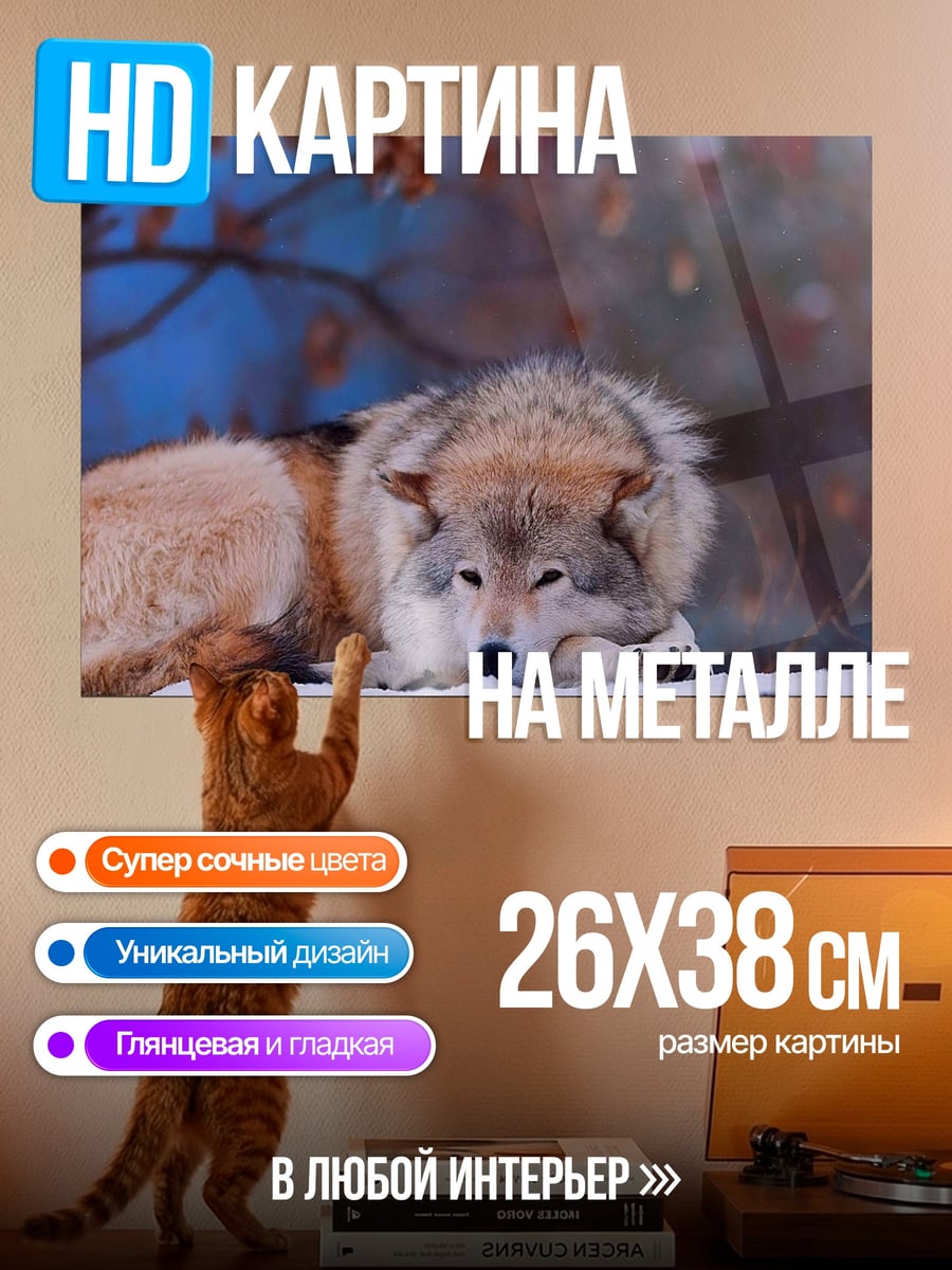 Картина на металле Волк лежит зимой