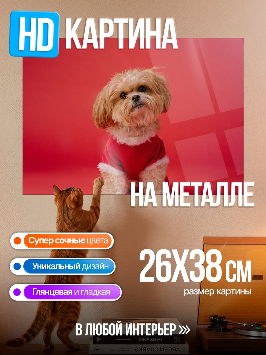 Картина на металле Ши-тцу в костюме