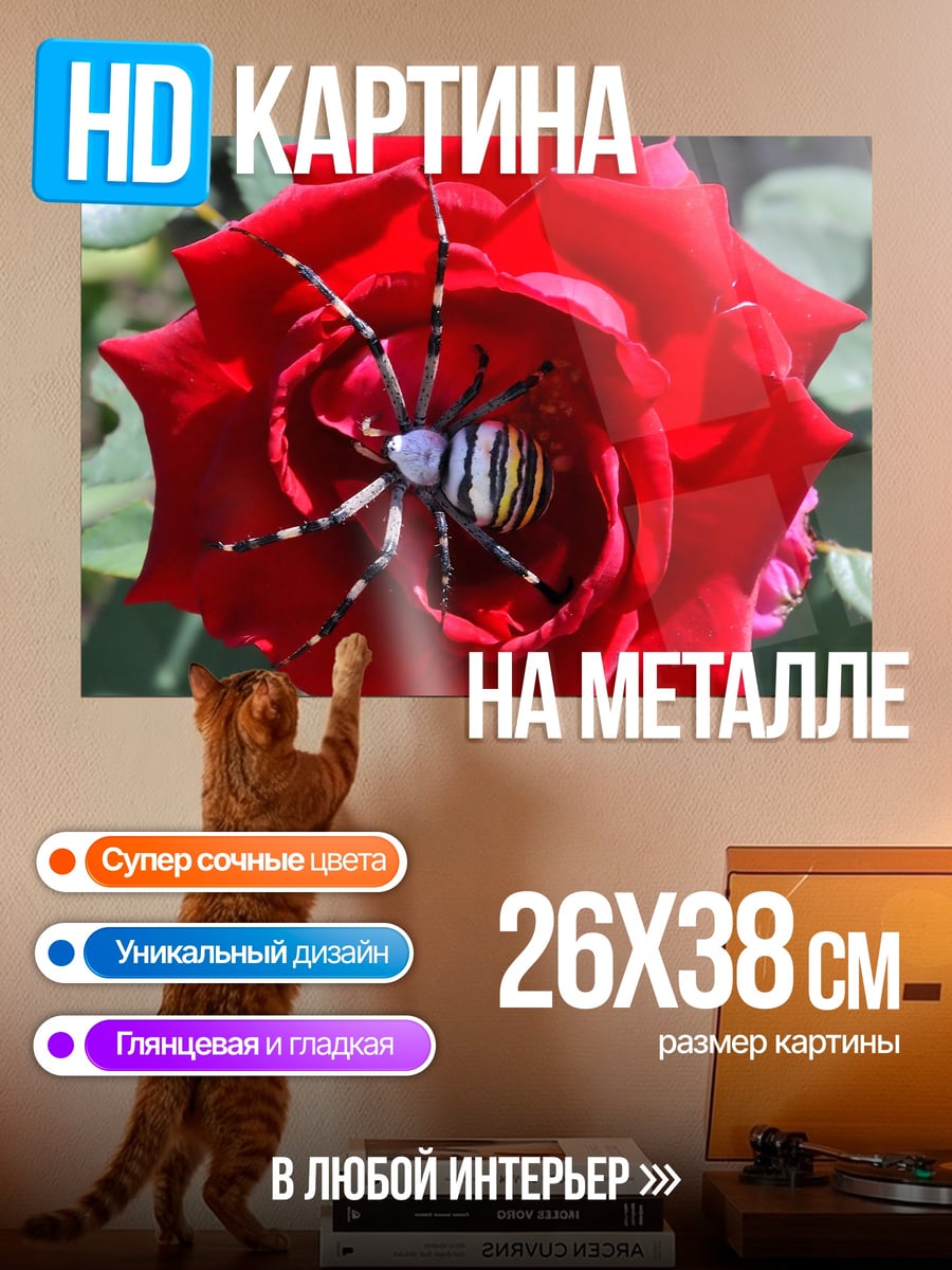 Картина на металле Паук на розе
