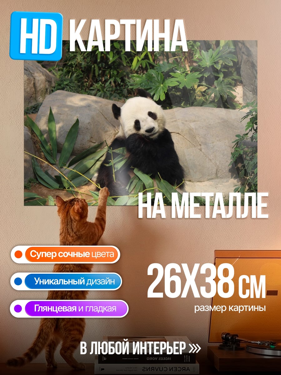 Картина на металле Панда ест бамбук